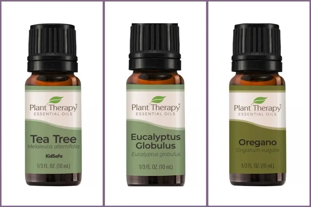 Empowering essential oils for Immune Support - tea tree, eucalyptus, oregano