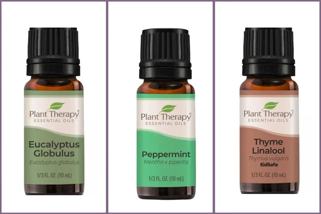 Empowering essential oils for Respiratory Health - eucalyptus, peppermint, thyme