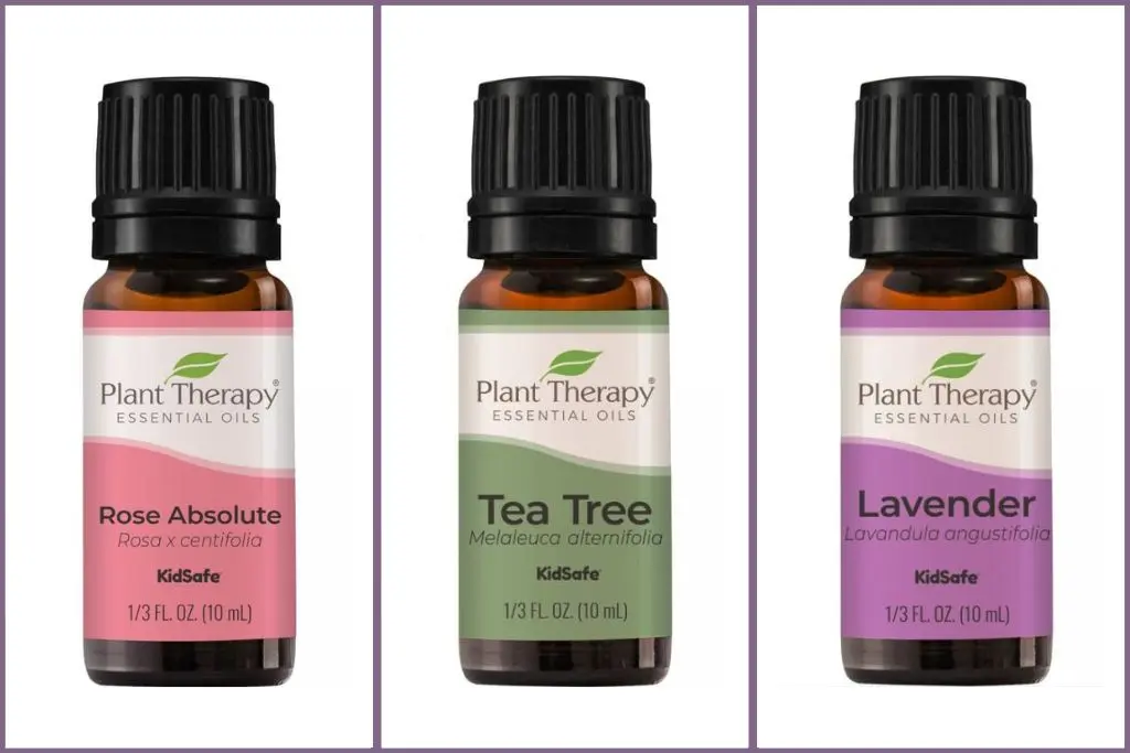 Empowering essential oils for Skincare - rose, tea tree, lavender