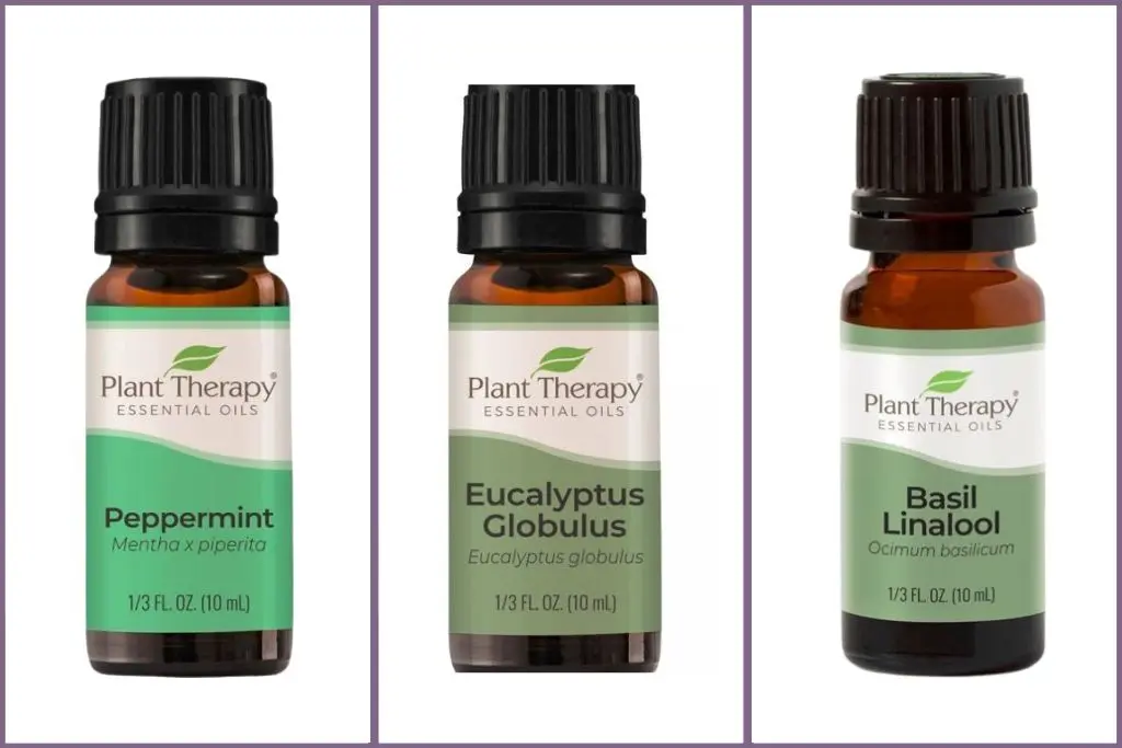 Empowering essential oils to Enhance Focus & Clarity - peppermint, eucalyptus, basil