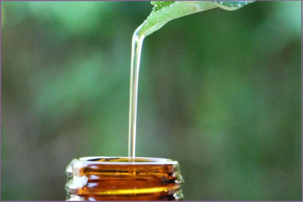 leaf with oil pouring into a bottle