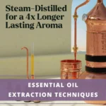 copper steam distil for extraction essential oils