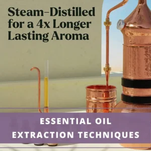 copper steam distil for extraction essential oils