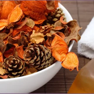 white bowl with pinecones, dried leaves - homemade fall scented potpourri