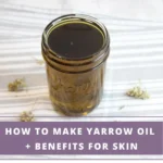 bottle of homemade yarrow infused oil - how to make yarrow oil