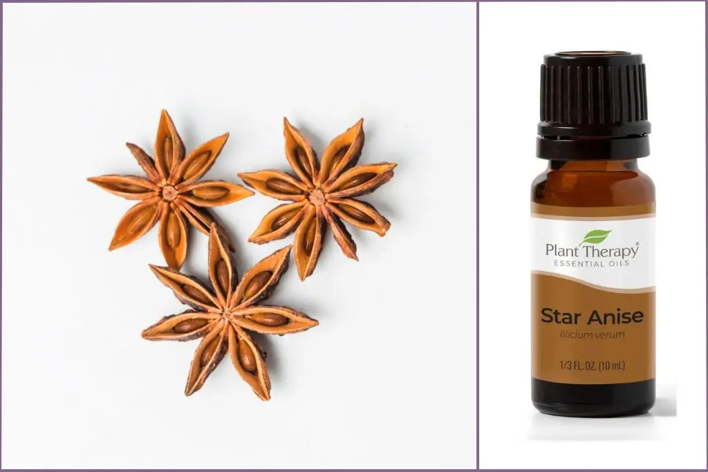 bottle of star anise essential oil with 3 star anise