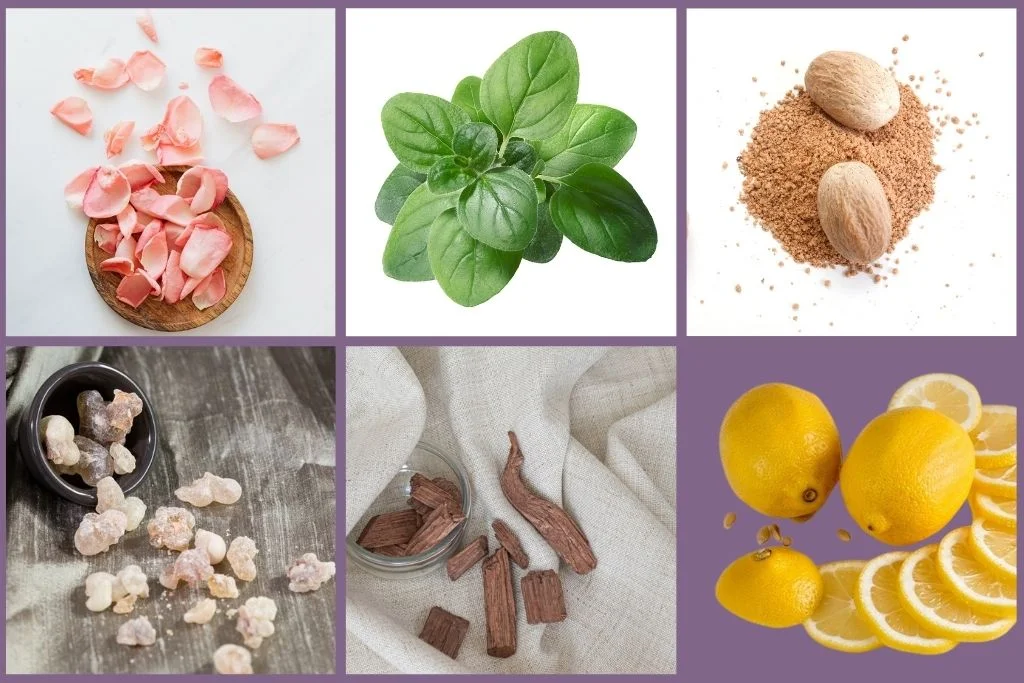 different plant parts used to extract essential oils - petals, leaves, citrus peel, resin, bark