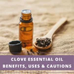 bottle of clove essential oil + spoon with clove buds