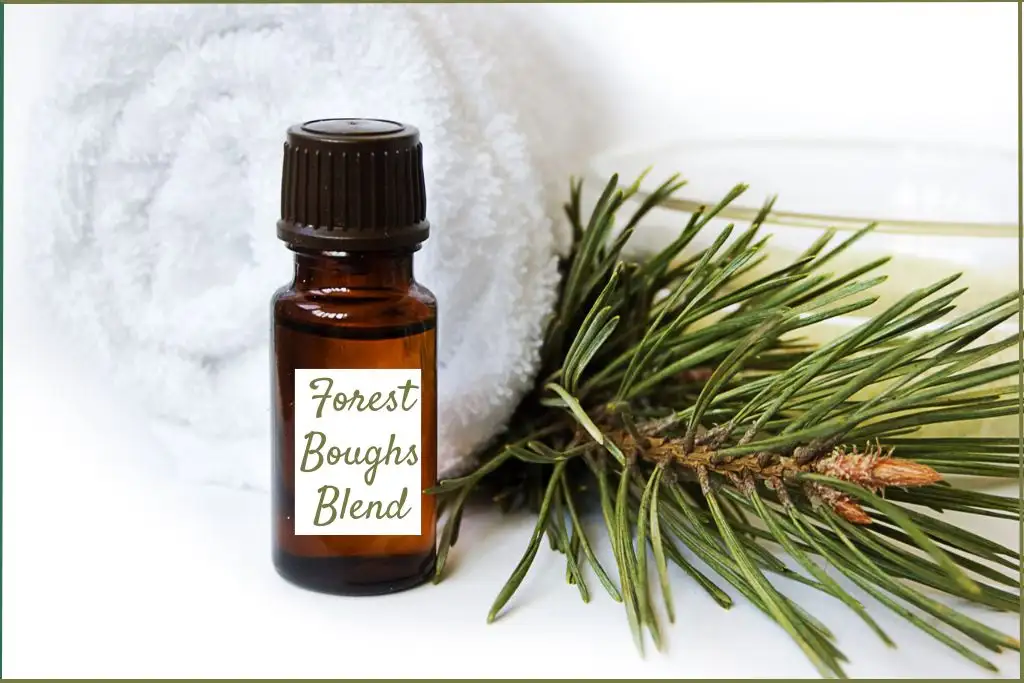 essential oil bottle with a fir branch at side