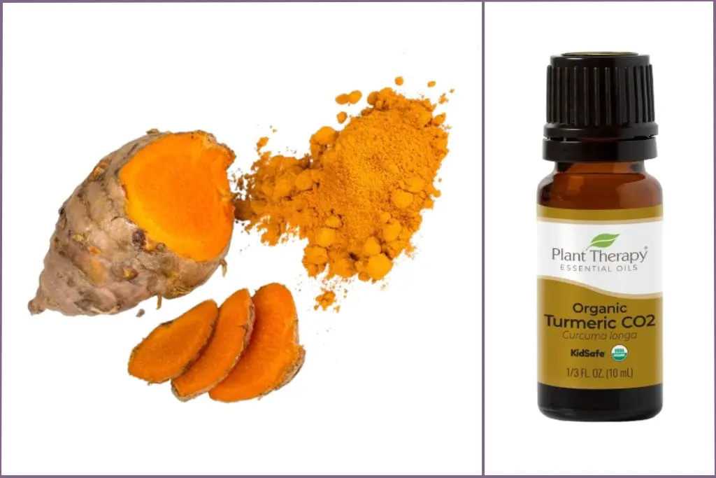 turmeric root + bottle of turmeric CO2 extract