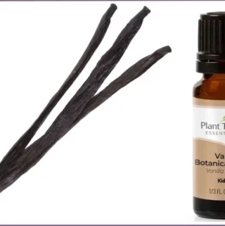 vanilla pods and a bottle of vanilla extract