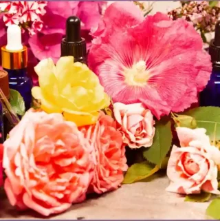 Assorted flowers and essential oils representing essential oils from the floral aroma family.