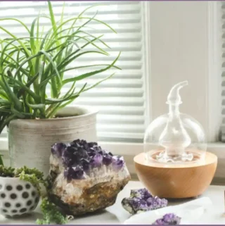 Potted plants, amethyst gemstone, and aromatherapy diffuser with essential oils for wellness.
