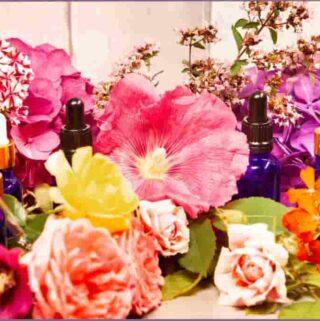 Essential oil bottles surrounded by flowers - floral diffuser blends