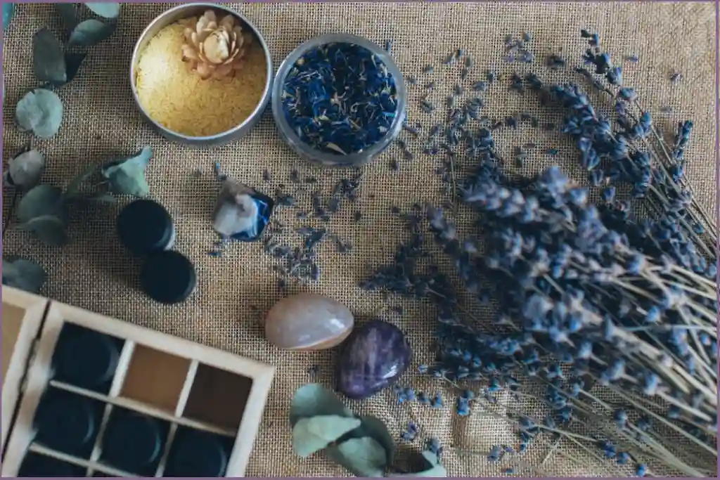 lavender flowers and essential oil bottles