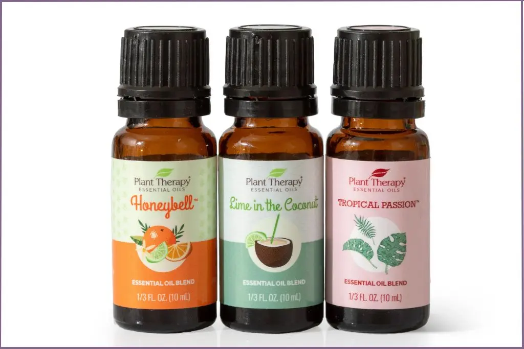 3 bottles of Plant Therapy tropical diffuser blends