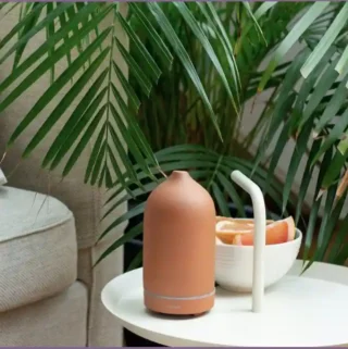 diffuser on small round table with palm leaves in the background