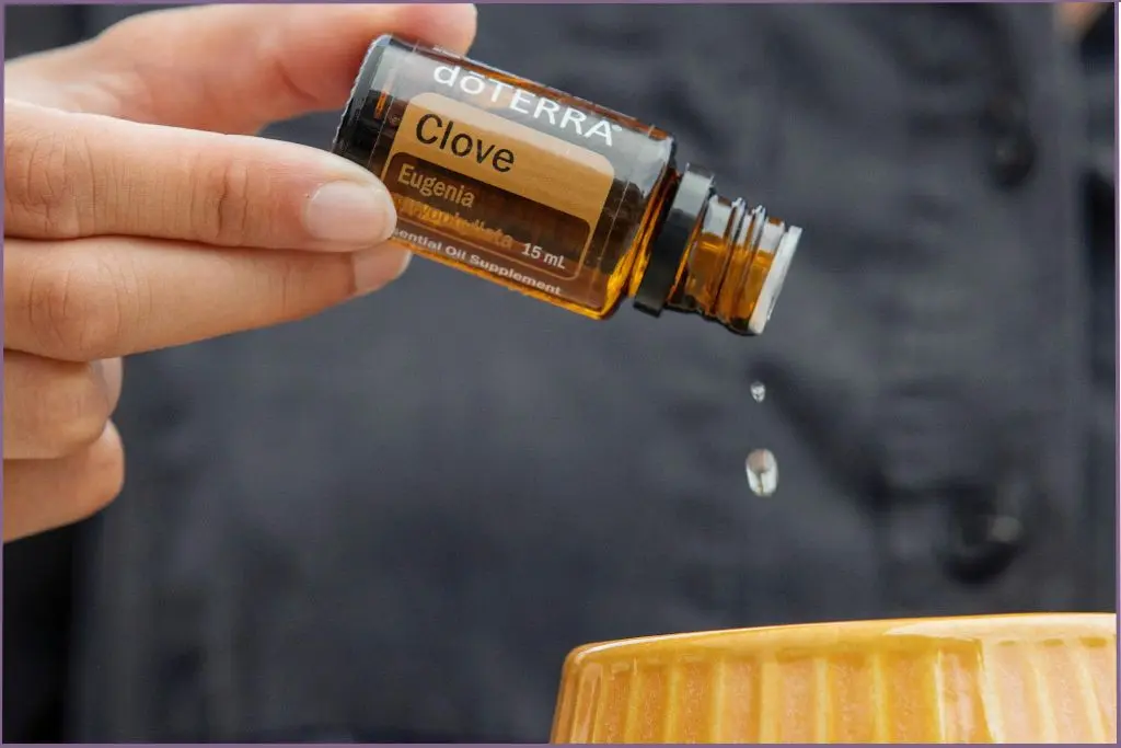 Adding clove seasonal blends to a diffuser