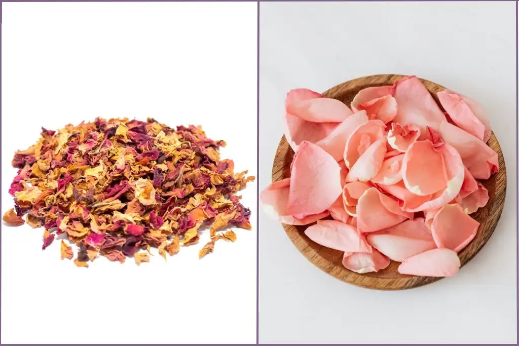 bunch of dried rose petals on white background + fresh pink rose petals in wooden bowl to make rose infused oil