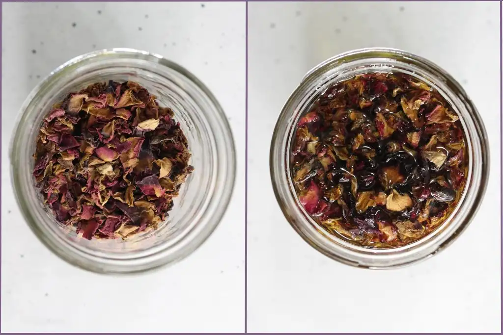 glass jar with dried rose petals and a second jar with carrier oil added to the dried petals to make rose infused oil
