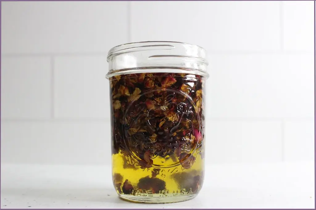rose petals steeping in carrier oils in a glass bottle - how to make rose oil at home