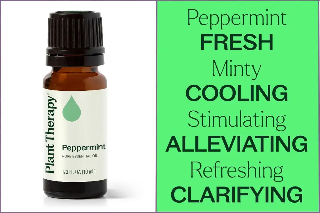 Plant Therapy peppermint essential oil bottle benefits & uses