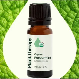 Plant Therapy peppermint essential oil bottle - uses & benefits