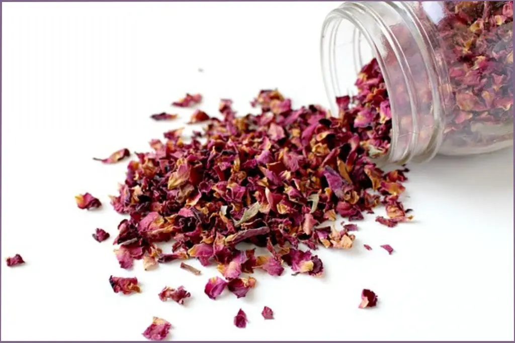 dried rose petals to make rose infused oil