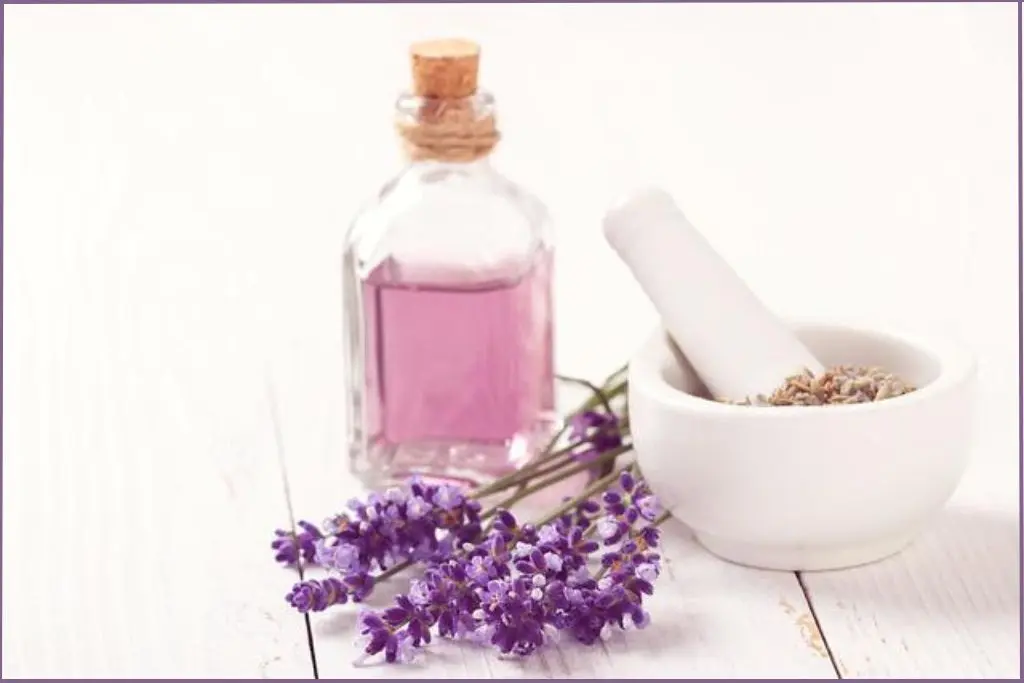 bottle of lavender hydrosol with lavender flowers next to a white pestle and mortar