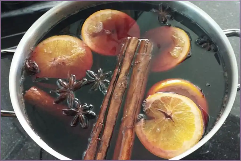 lemon slices, cinnamon sticks, star anise and water in a pot-Classic autumn spice simmer pot recipe