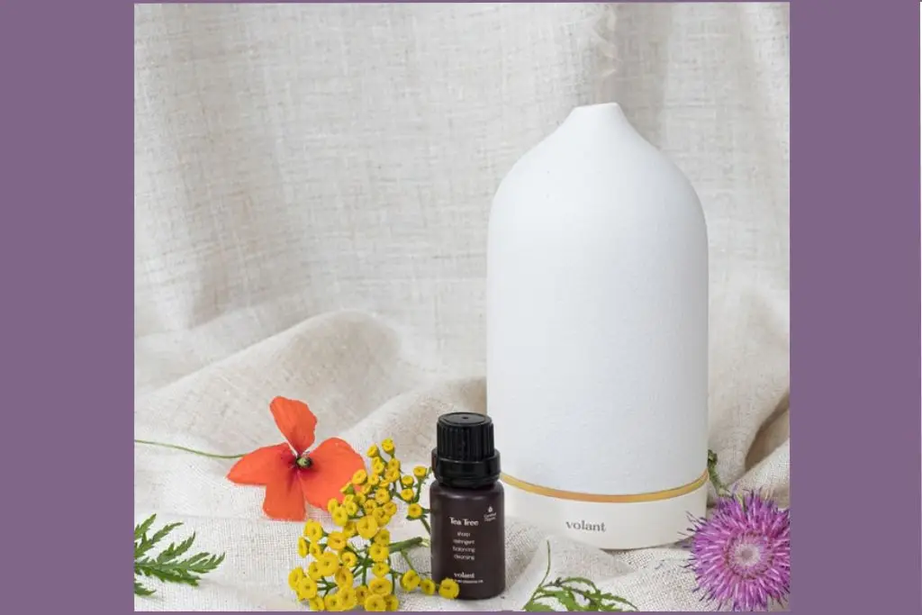 Tea tree essential oil bottle beside a white aroma diffuser - how to use tea tree essential oil for aromatherapy