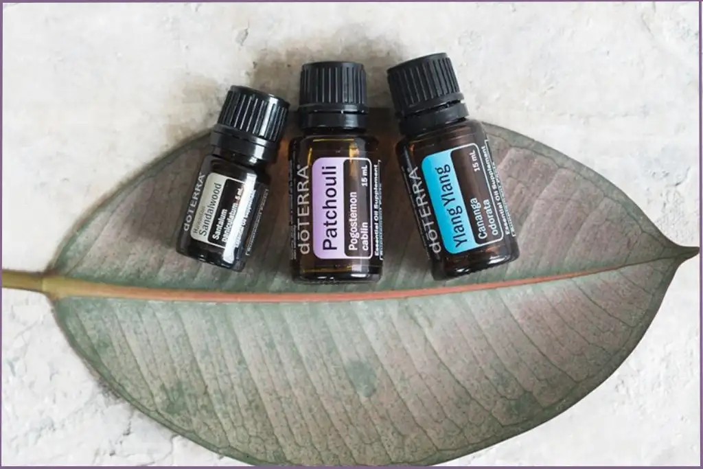 bottles of sandalwood, patchouli, ylang ylang essential oils to make Earthy And Grounding Boho Chic Diffuser Blends