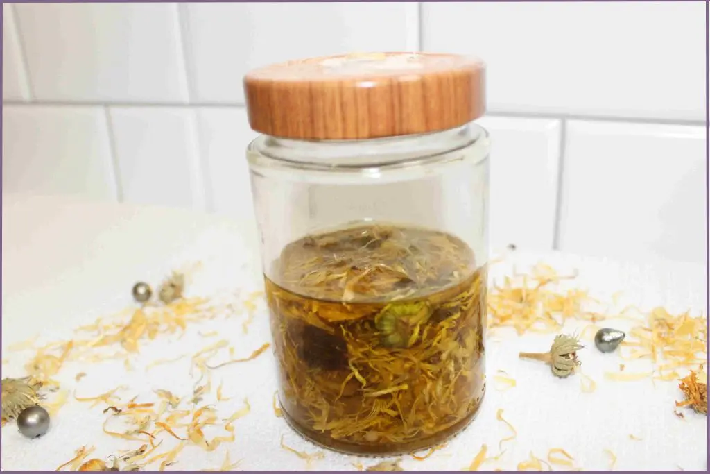Calendula flowers infused in carrier oil in a glass bottle - how to make calendula oil at home