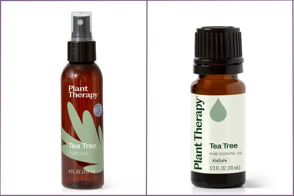 Bottles of Plant Therapy tea tree hydrosol and tea tree essential oil