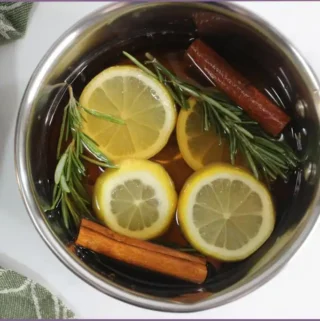 lemon slices, cinnamon sticks, and rosemary sprigs and water in a pot - simmer pot recipes for every season