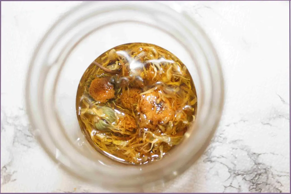 Calendula flowers infused in carrier oil in a glass bottle -what is calendula oil