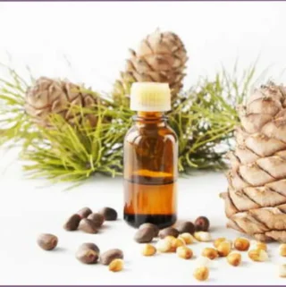 bottle of crisp autumn diffuser blend surrounded by pinecones