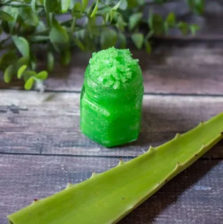 small jar of homemade peppermint aloe vera lip scrub