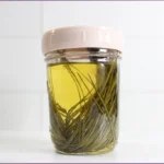 Glass jar with pine needles infused in carrier oil to make pine needle infusion