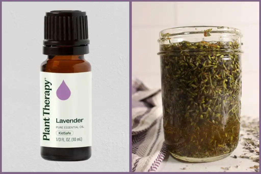 bottle of lavender essential oil and a jar with lavender infused oil demonstrating essential oils vs infused oils