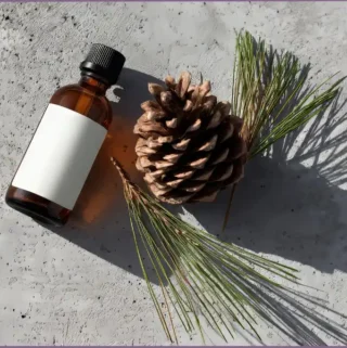 bottle of pine essential oil with a pine cone and pine needles at the side
