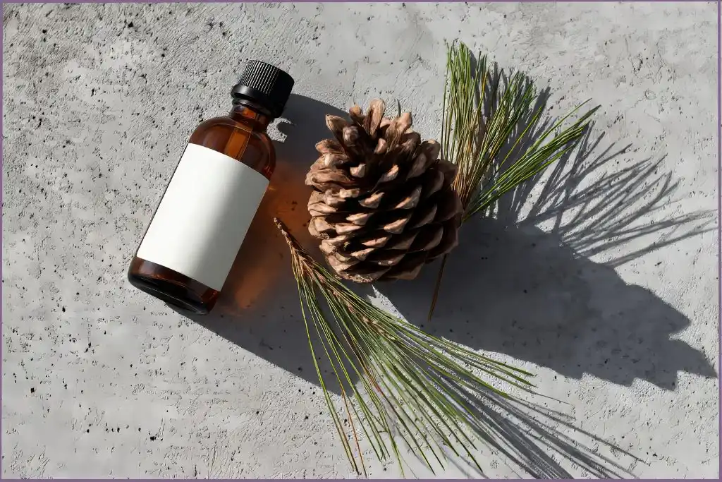 bottle of pine essential oil with a pine cone and pine needles at the side
