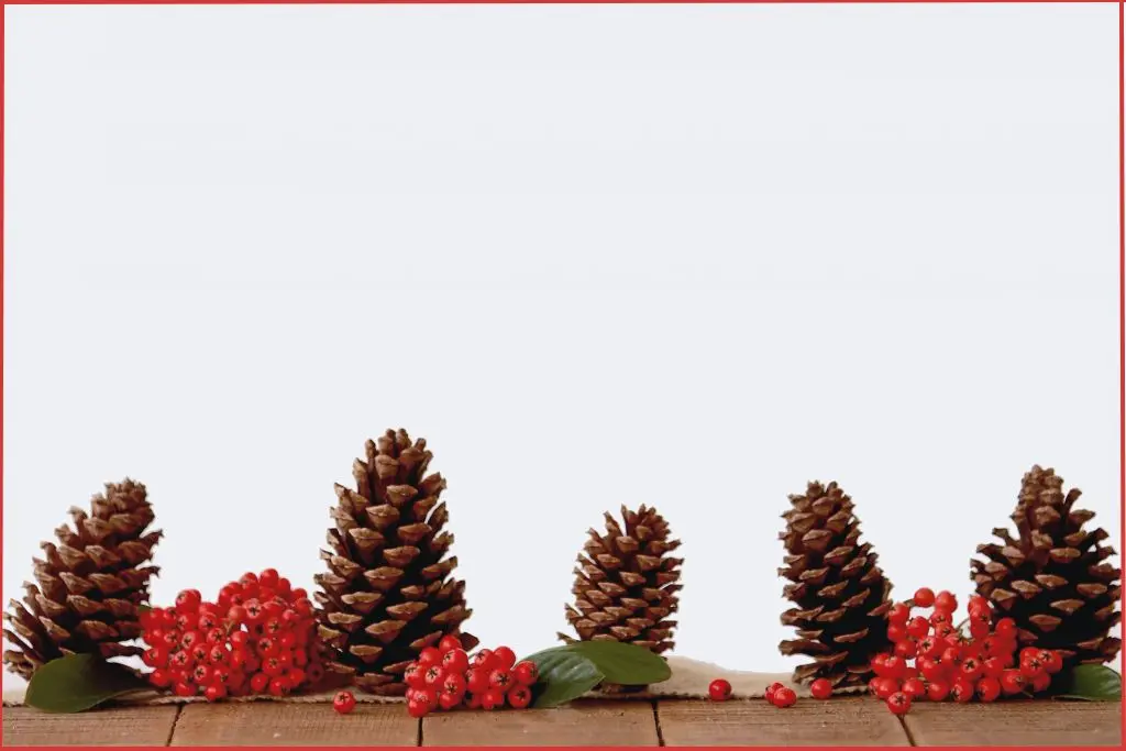 Pinecones in different sizes with bunches of cranberries on a wooden surface