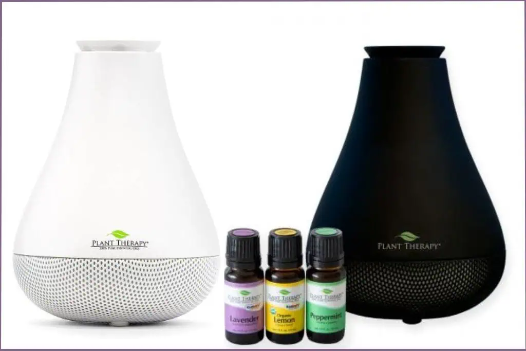 What Is An Essential Oil Diffuser? A Beginner's Guide